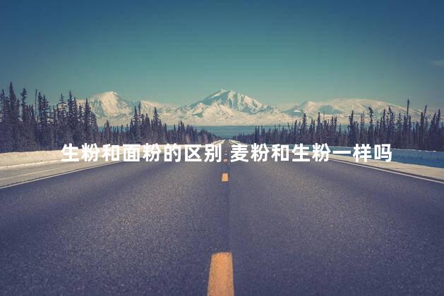 生粉和面粉的区别 麦粉和生粉一样吗